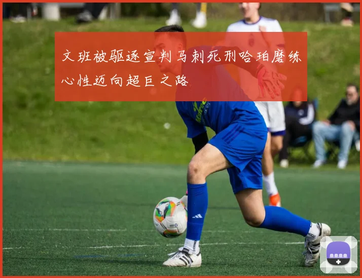 文班被驱逐宣判马刺死刑哈珀磨练心性迈向超巨之路