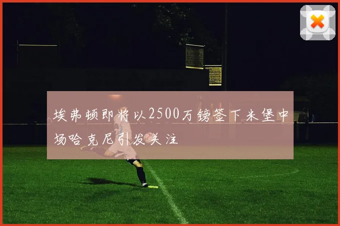 埃弗顿即将以2500万镑签下米堡中场哈克尼引发关注