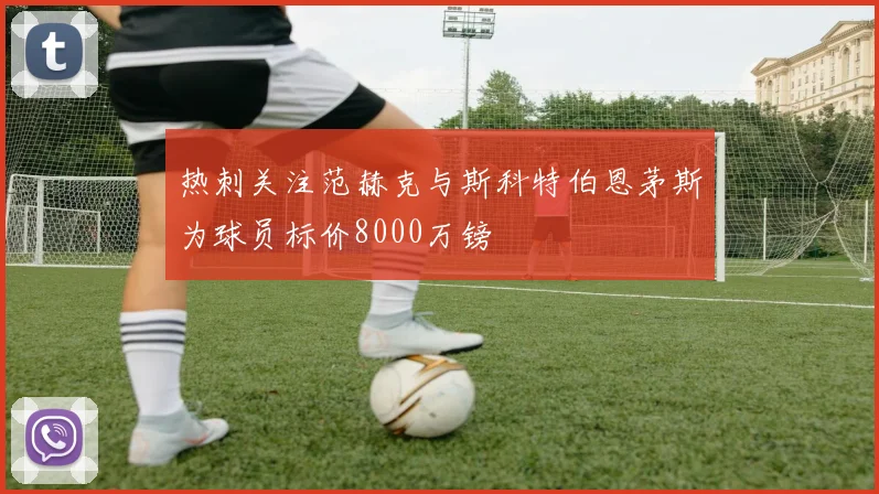 热刺关注范赫克与斯科特伯恩茅斯为球员标价8000万镑