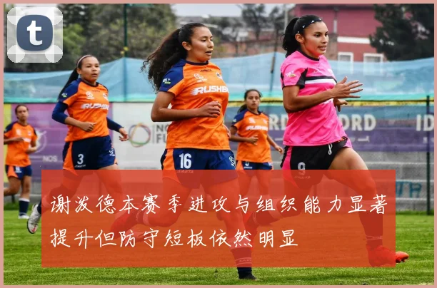 谢泼德本赛季进攻与组织能力显著提升但防守短板依然明显
